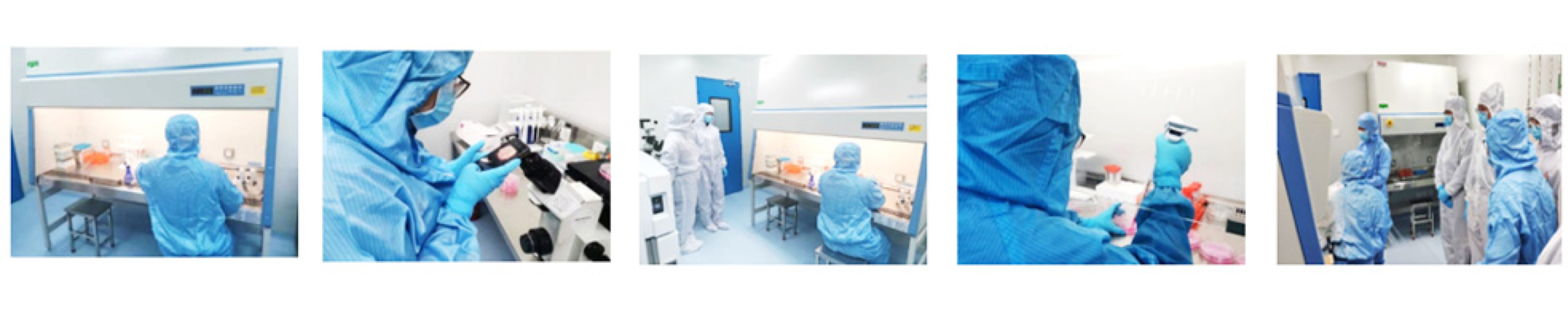 mg不朽情缘(中国)官方网站